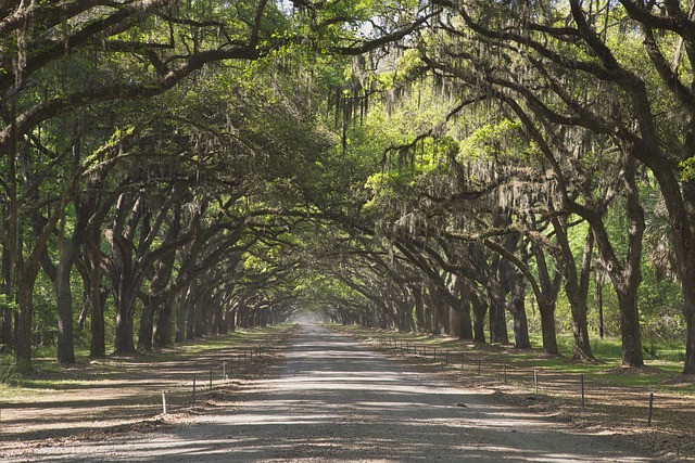 savannah, georgia