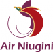 Air Niugini