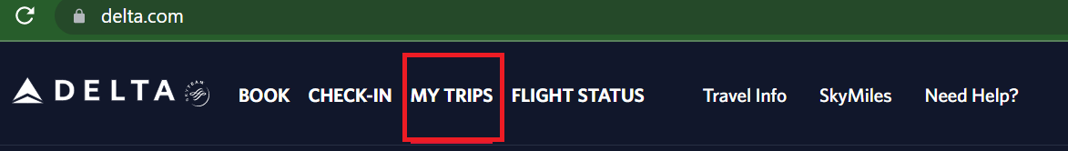 Delta Airline tab